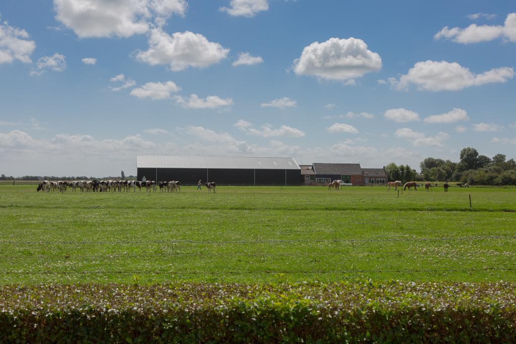 Welcome In - De Grote Geere Oostkapelle Exterior photo
